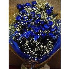感激ブルーのバラ　50本の花束