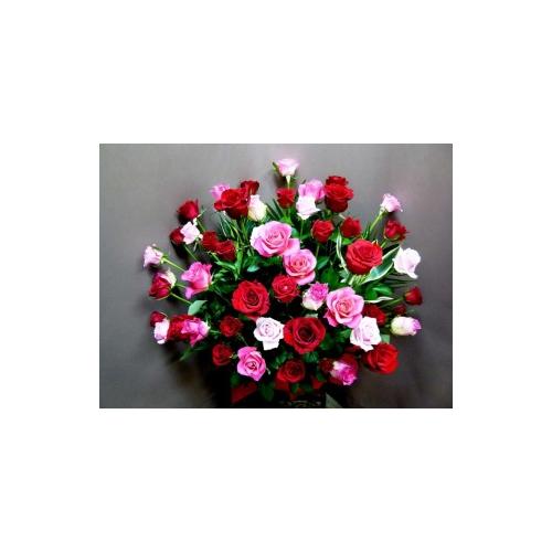 バラの赤とピンク　50本　”天女の舞”