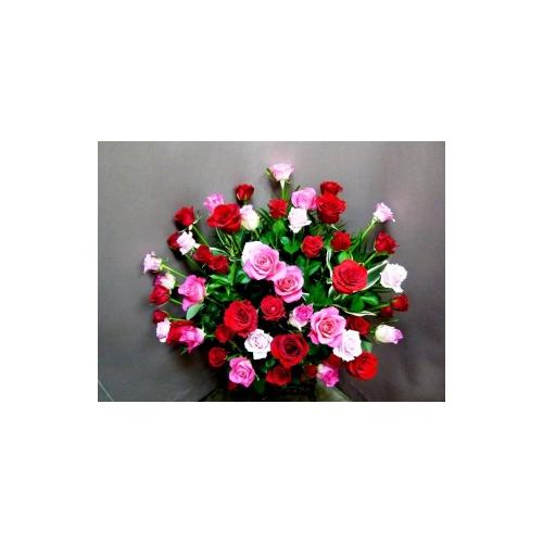 バラの赤とピンク　50本　”天女の舞”3