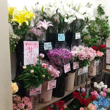 Xܓω摜
