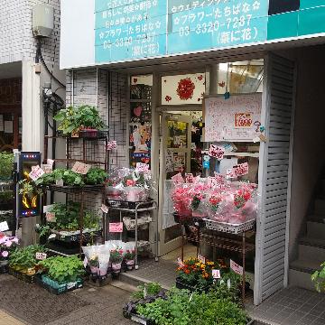 X܊Oω摜