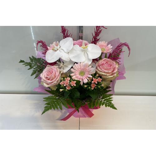 �Ӓ�������؂€�s���N���ґ�A�����W�����g