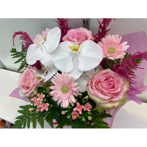 �Ӓ�������؂€�s���N���ґ�A�����W�����g2