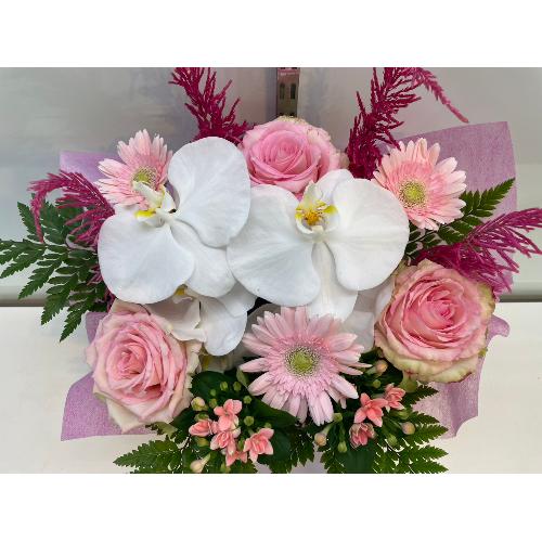 �Ӓ�������؂€�s���N���ґ�A�����W�����g3