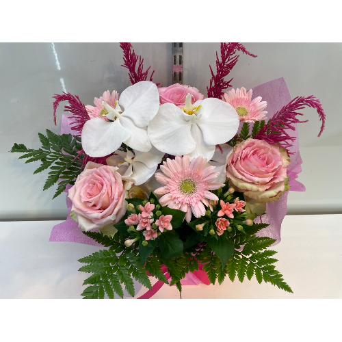 �Ӓ�������؂€�s���N���ґ�A�����W�����g4
