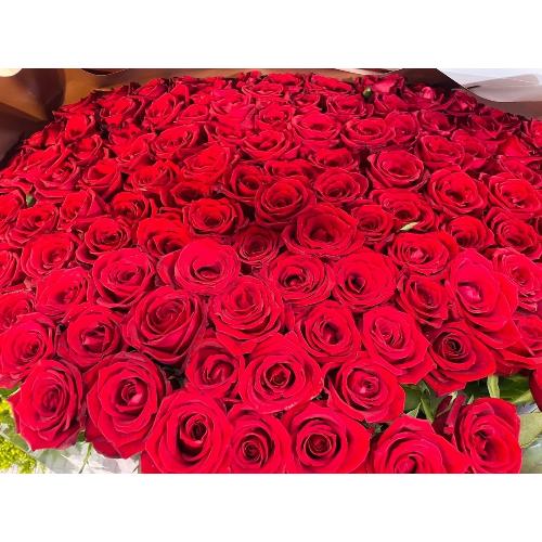 �K����񑩂��� 108�{�̃v���|�[�Y���[�Y2