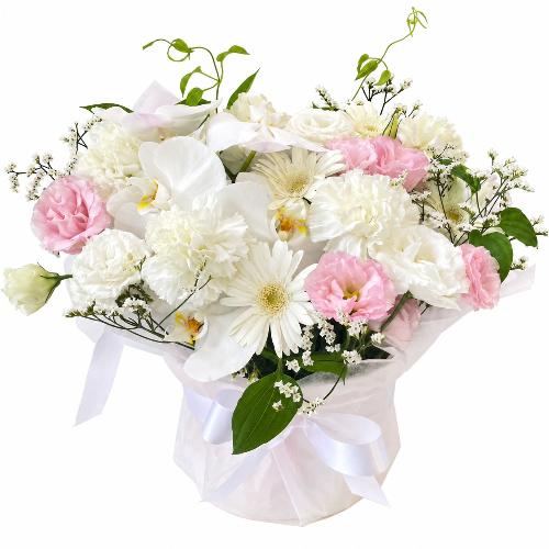 ��؂ȕ��� �Ӓ������肨�����A�����W
