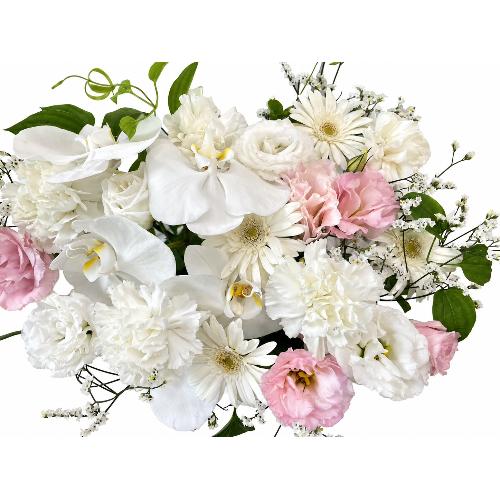 ��؂ȕ��� �Ӓ������肨�����A�����W3