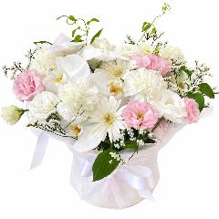 ��؂ȕ��� �Ӓ������肨�����A�����W