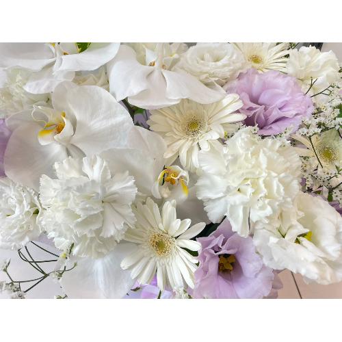 �C�i����Ӓ����ƒW�������z����`���邨����2