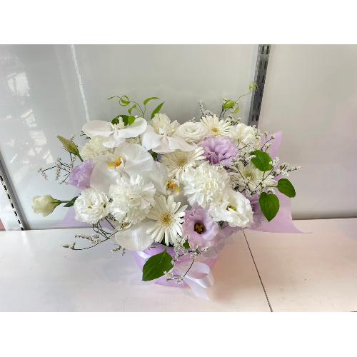 �C�i����Ӓ����ƒW�������z����`���邨����4