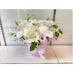 �C�i����Ӓ����ƒW�������z����`���邨����