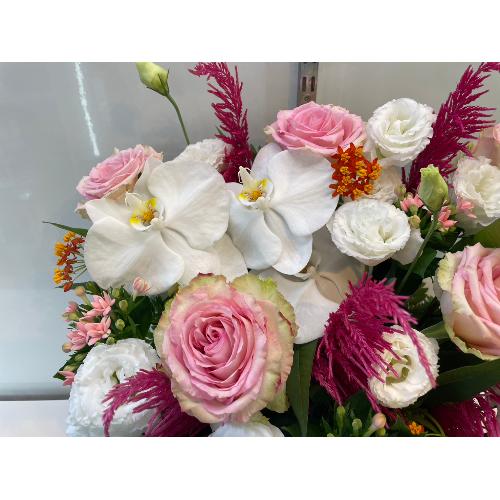 �C�i���ӂ��s���N���[�Y�ƌӒ����̃M�t�g3