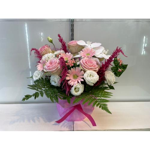 �؂€�s���N���ґ�A�����W�����g2