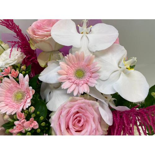 �؂€�s���N���ґ�A�����W�����g3