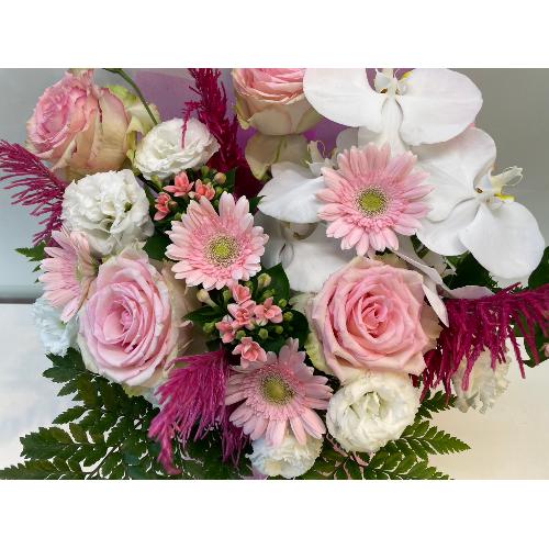 �؂€�s���N���ґ�A�����W�����g4