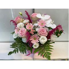 �؂€�s���N���ґ�A�����W�����g