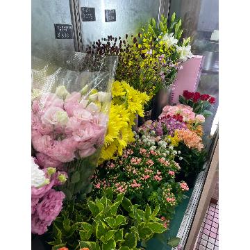 �X�^�b�t�摜