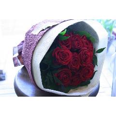 ydozen redz12{̃o