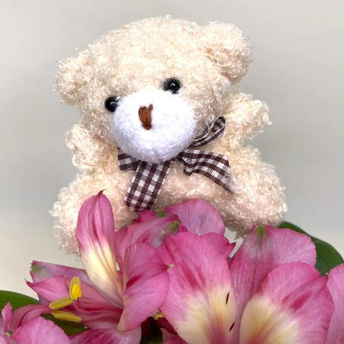 ���e���܃A�����W�����g2