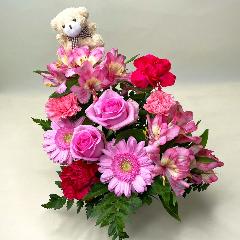 ���e���܃A�����W�����g