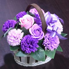 ��ϥХ����åȥ����ץե���/SF117