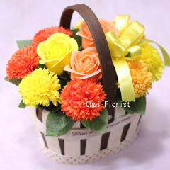 ��������󥸷ϥХ����åȥ����ץե�/SF116