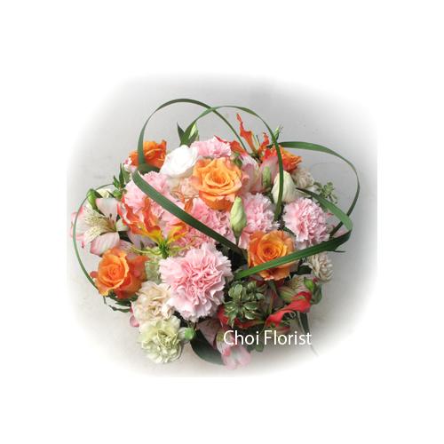 �n�b�s-�D�f-/a571