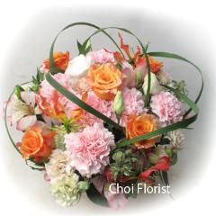 �n�b�s-�D�f-/a571