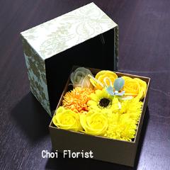 �£ϣإ����ץե�����������/ sf99