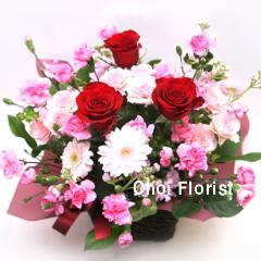 �������ơ�A161��