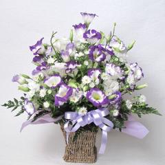 ���n�A�����W�@�^A545