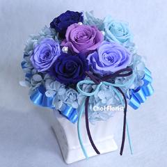 ��������(�֥롼���ѡ��ץ�ϥץꥶ���֥�)��P444