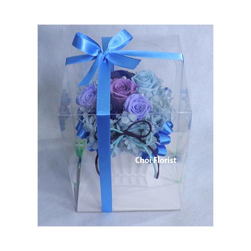 �������߂�(�u���[�A�p�[�v���n�v���U�[�u�h)�^P4443