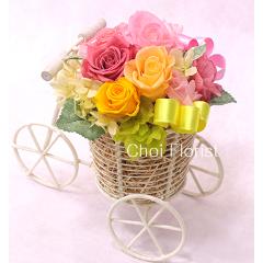 �����ʲ֤��ż֤˾褻��..�ץꥶ���֥ɥե���P456