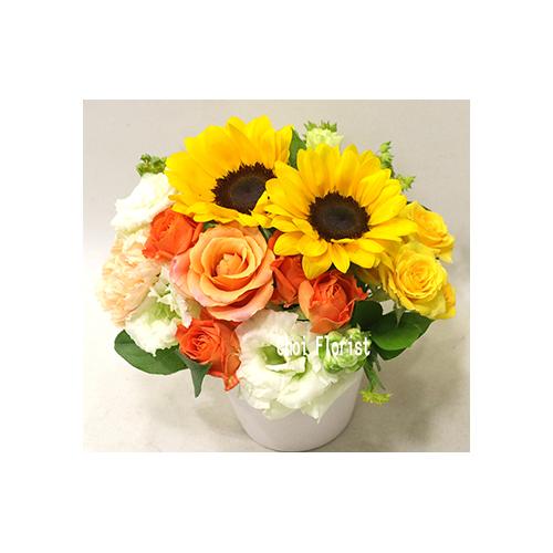 �q�}�����A�����W�^A69122