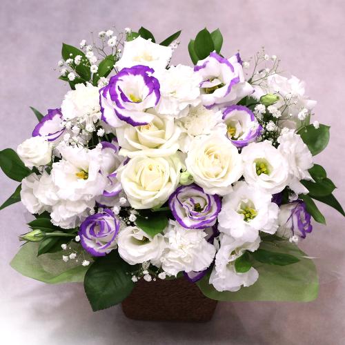 �������A�����W�����g�uRemember�@�`�ÂԎv���`�v/A7054