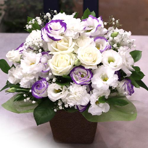 �������A�����W�����g�uRemember�@�`�ÂԎv���`�v/A70542