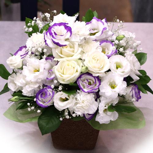 �������A�����W�����g�uRemember�@�`�ÂԎv���`�v/A70543