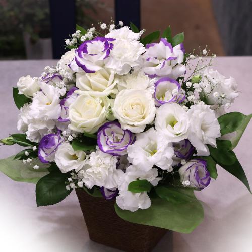 �������A�����W�����g�uRemember�@�`�ÂԎv���`�v/A70544