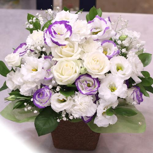 �������A�����W�����g�uRemember�@�`�ÂԎv���`�v/A70545