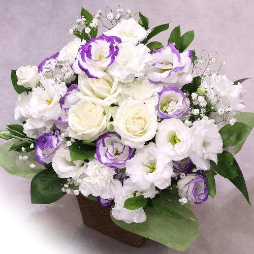 �������A�����W�����g�uRemember�@�`�ÂԎv���`�v/A70546