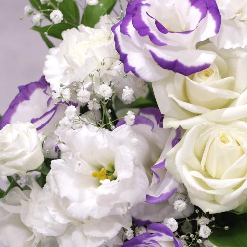 �������A�����W�����g�uRemember�@�`�ÂԎv���`�v/A70547