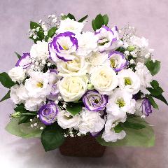 �������A�����W�����g�uRemember�@�`�ÂԎv���`�v/A7054