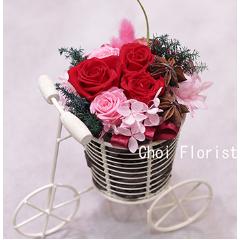 �K���ȉԂ����]�Ԃɏ悹�ā@�ԃs���N�n�^P470