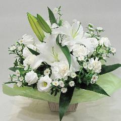 �ۥ磻�ȥ���󥸡ʣ�240��