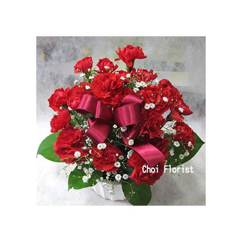 ���ꂳ�񂢂��L�/A1430