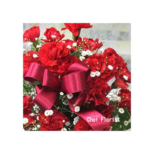 ���ꂳ�񂢂��L�/A14302