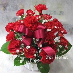 ���ꂳ�񂢂��L�/A1430