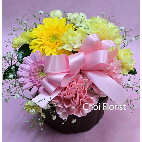 ���F�s���N�n�A�����W/A92422